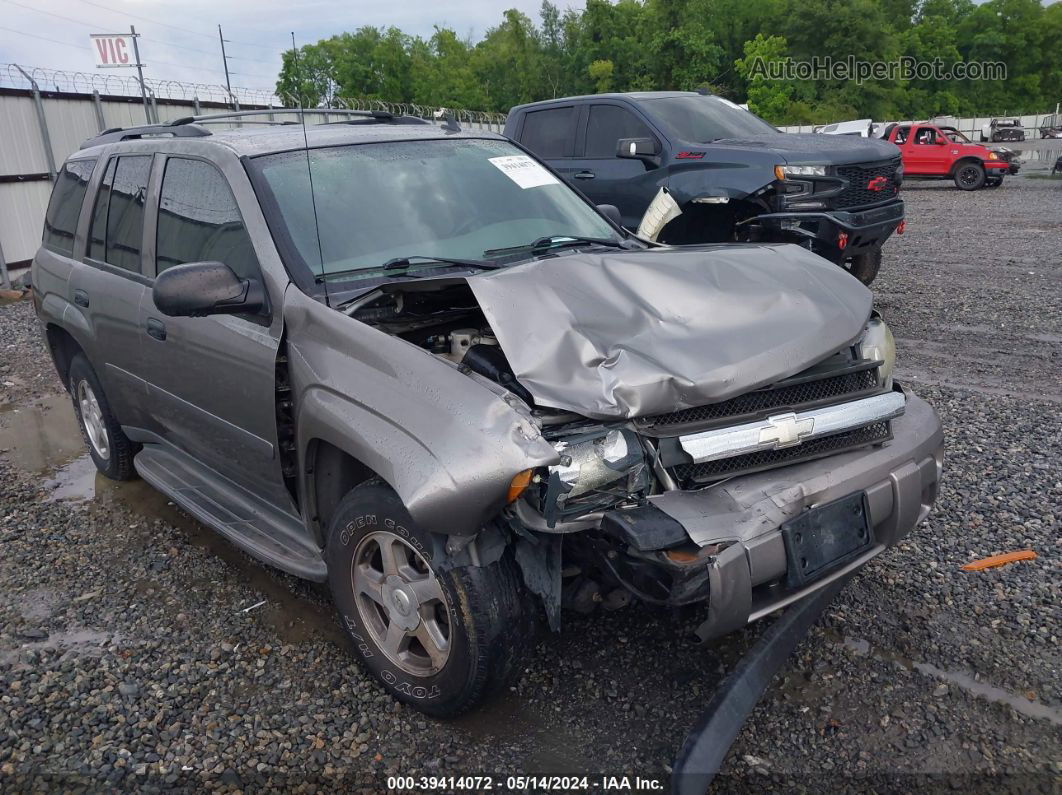 2006 Chevrolet Trailblazer Ls Серый vin: 1GNDS13S662105953