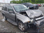 2006 Chevrolet Trailblazer Ls Gray vin: 1GNDS13S662105953