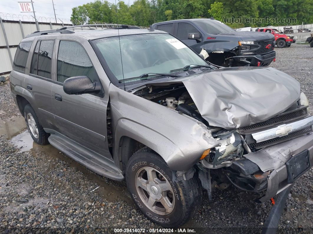 2006 Chevrolet Trailblazer Ls Серый vin: 1GNDS13S662105953