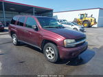 2006 Chevrolet Trailblazer Ls Burgundy vin: 1GNDS13S662113342