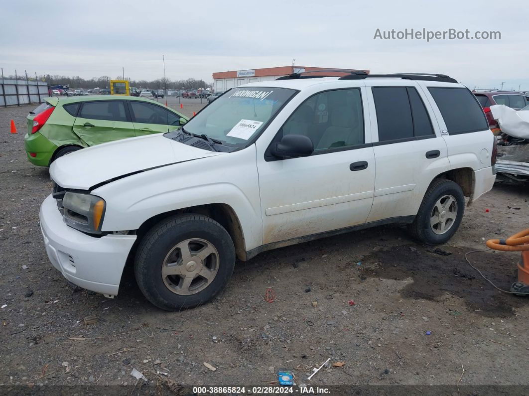 2006 Chevrolet Trailblazer Ls Белый vin: 1GNDS13S662305179