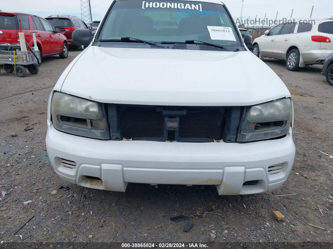 2006 Chevrolet Trailblazer Ls White vin: 1GNDS13S662305179