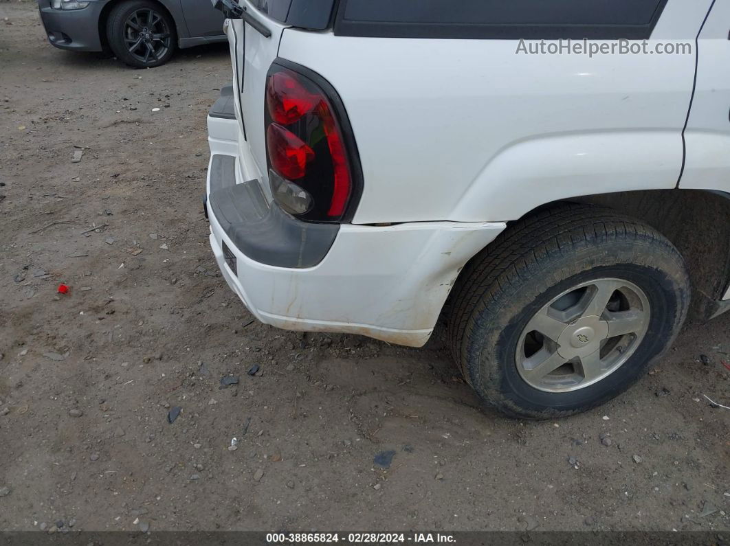 2006 Chevrolet Trailblazer Ls Белый vin: 1GNDS13S662305179