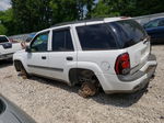 2002 Chevrolet Trailblazer  White vin: 1GNDS13S722331462