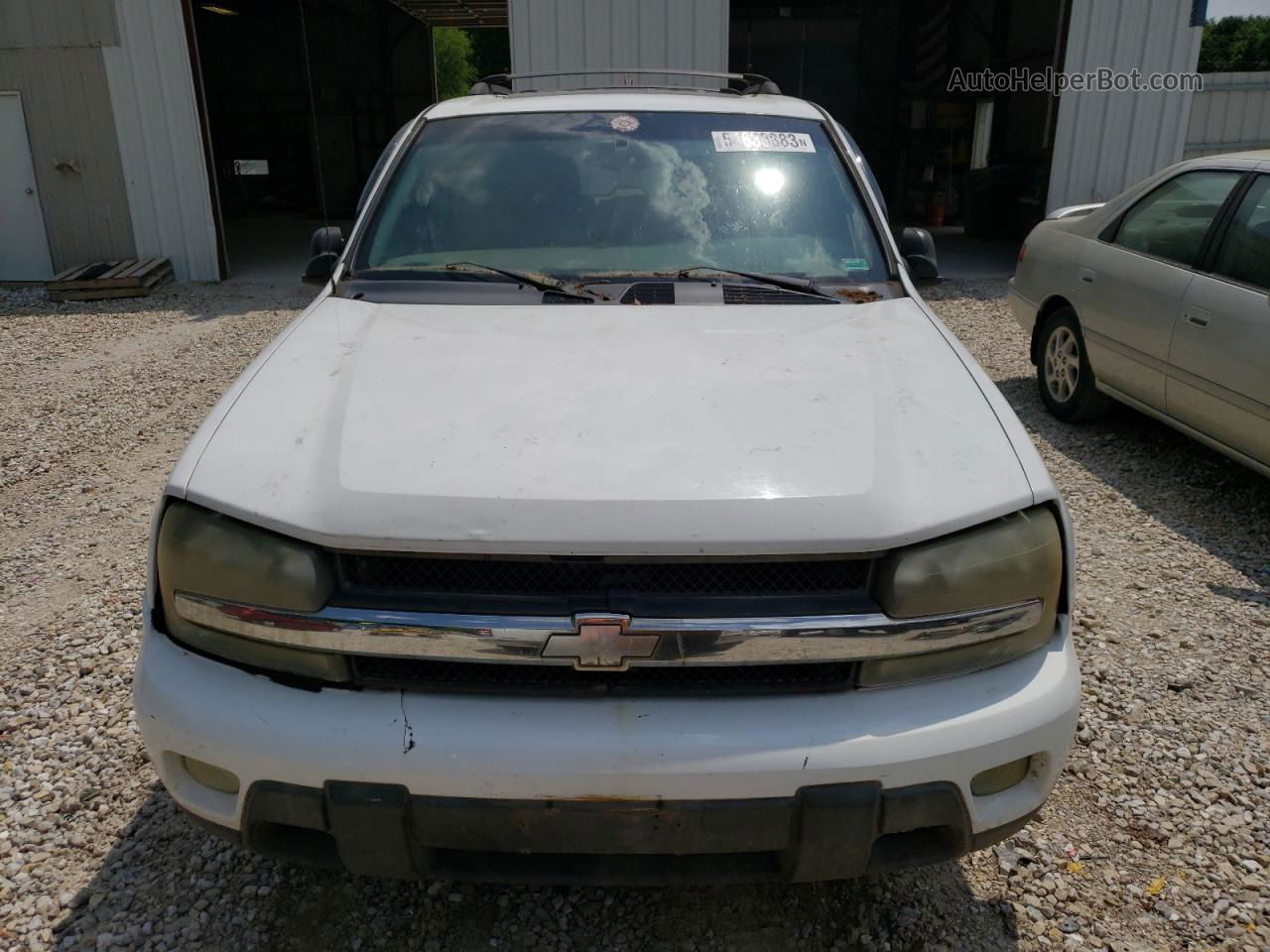 2002 Chevrolet Trailblazer  White vin: 1GNDS13S722331462