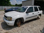 2002 Chevrolet Trailblazer  White vin: 1GNDS13S722331462