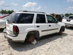 2002 Chevrolet Trailblazer  White vin: 1GNDS13S722331462