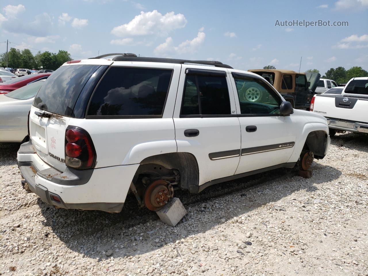 2002 Chevrolet Trailblazer  White vin: 1GNDS13S722331462