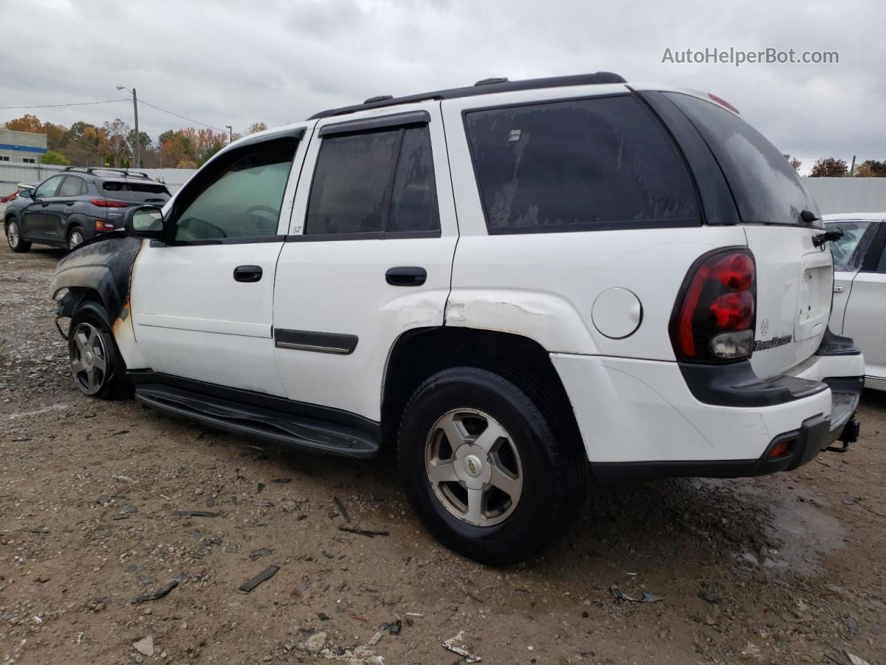 2002 Chevrolet Trailblazer  Белый vin: 1GNDS13S722350268