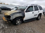 2002 Chevrolet Trailblazer  Белый vin: 1GNDS13S722350268