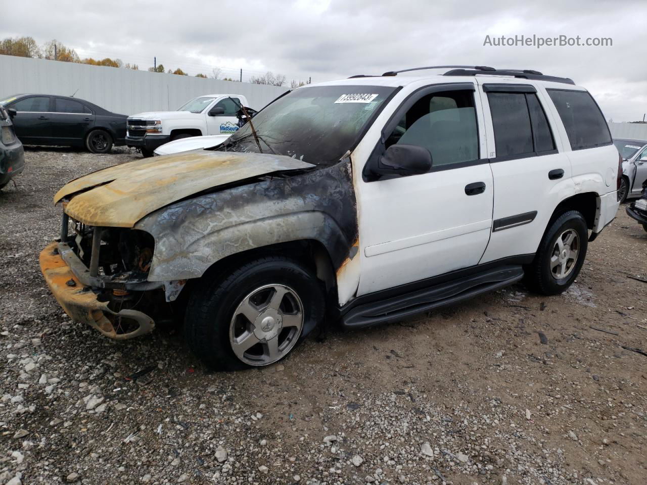 2002 Chevrolet Trailblazer  White vin: 1GNDS13S722350268