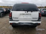 2002 Chevrolet Trailblazer  White vin: 1GNDS13S722350268