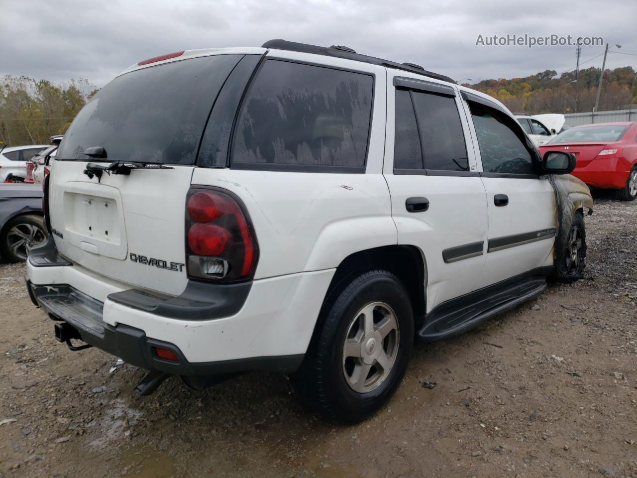 2002 Chevrolet Trailblazer  Белый vin: 1GNDS13S722350268