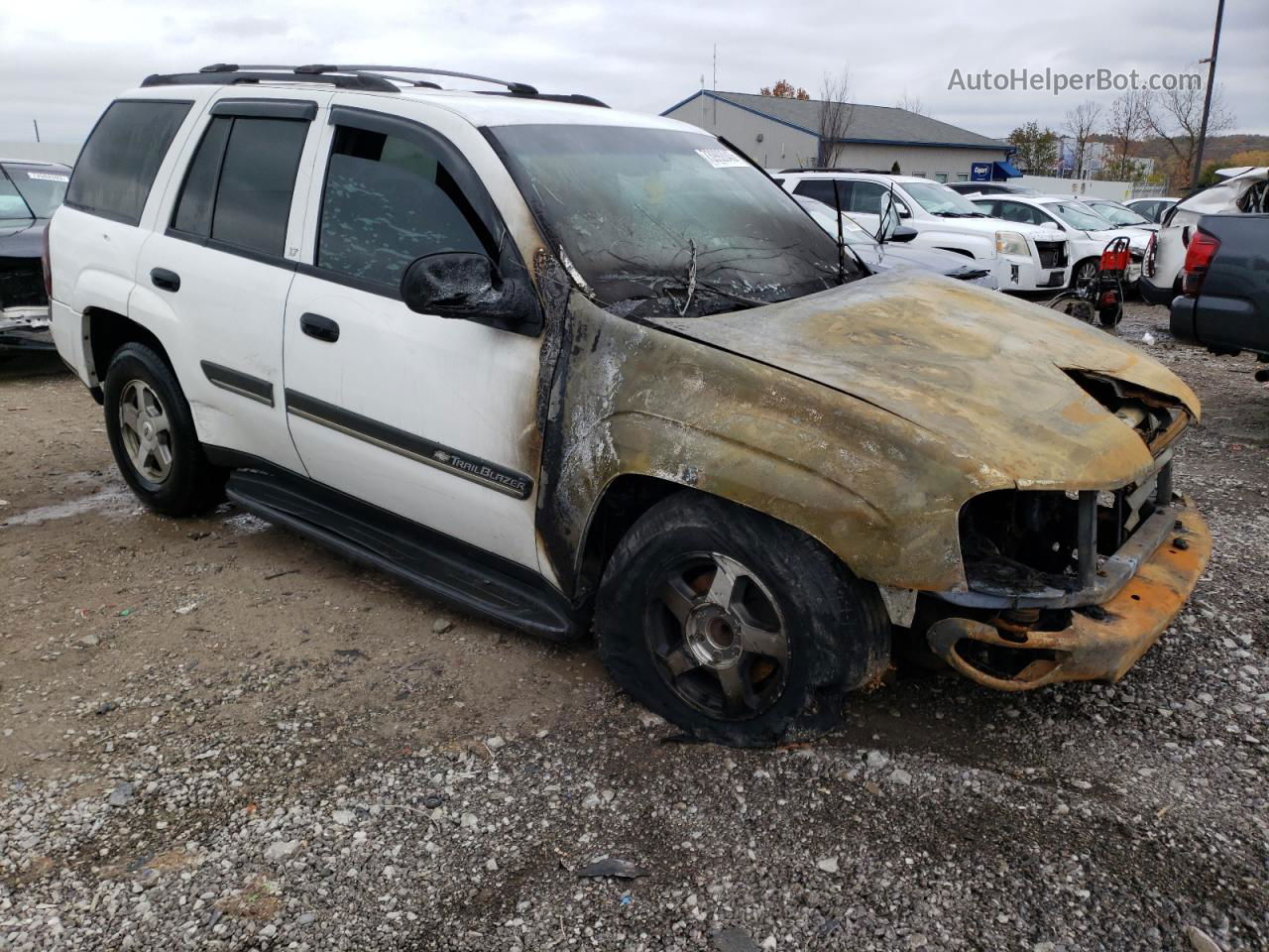 2002 Chevrolet Trailblazer  White vin: 1GNDS13S722350268