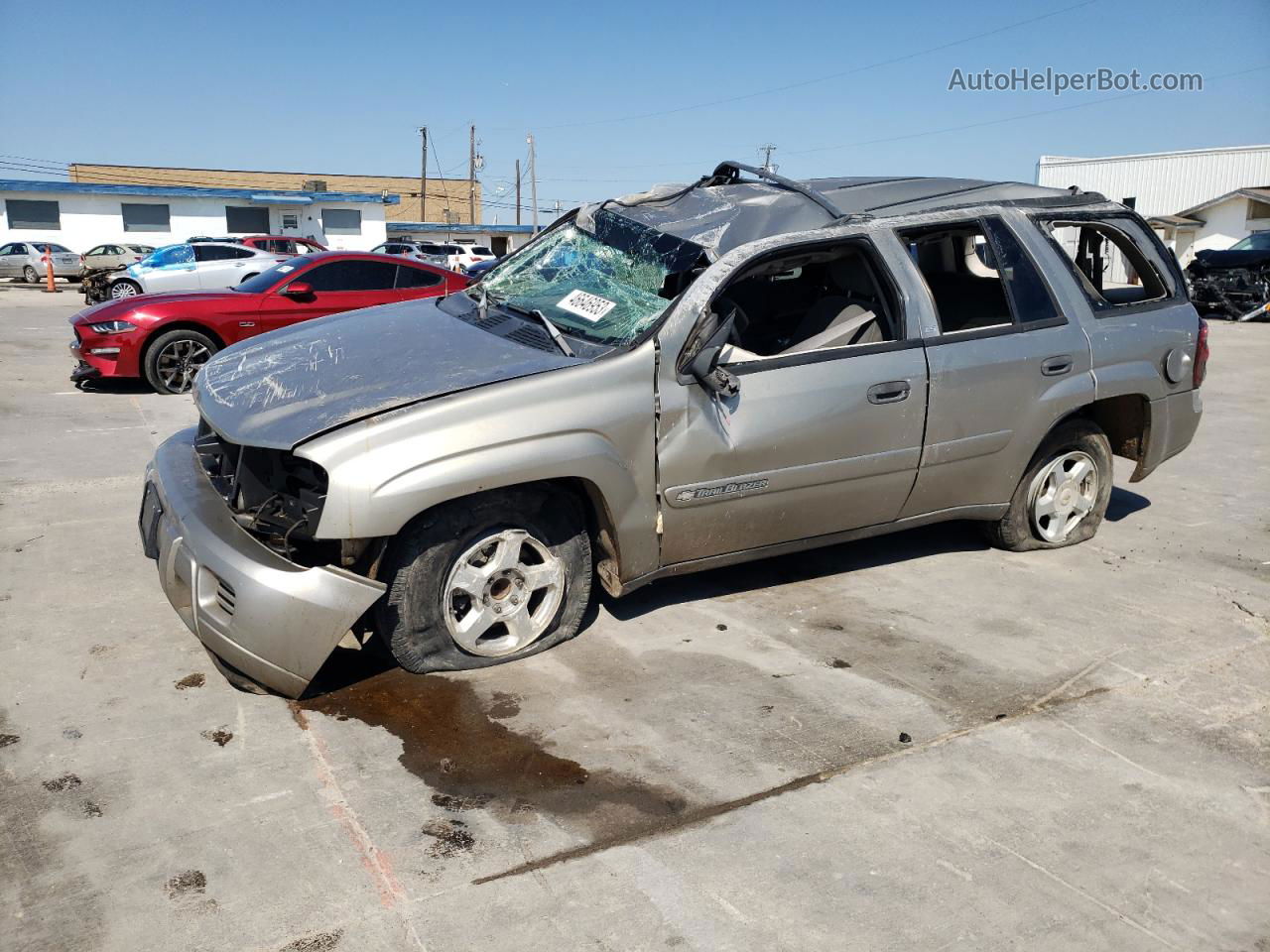 2002 Chevrolet Trailblazer  Бежевый vin: 1GNDS13S722386817