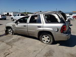 2002 Chevrolet Trailblazer  Бежевый vin: 1GNDS13S722386817