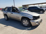 2002 Chevrolet Trailblazer  Бежевый vin: 1GNDS13S722386817