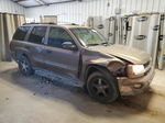 2002 Chevrolet Trailblazer  Tan vin: 1GNDS13S722493589