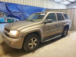 2002 Chevrolet Trailblazer  Tan vin: 1GNDS13S722493589