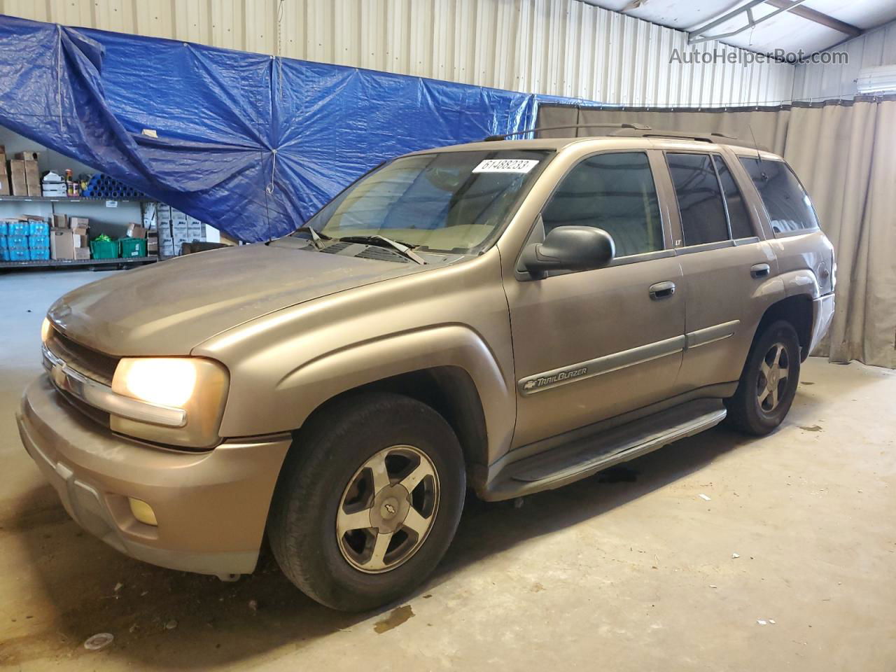 2002 Chevrolet Trailblazer  Tan vin: 1GNDS13S722493589