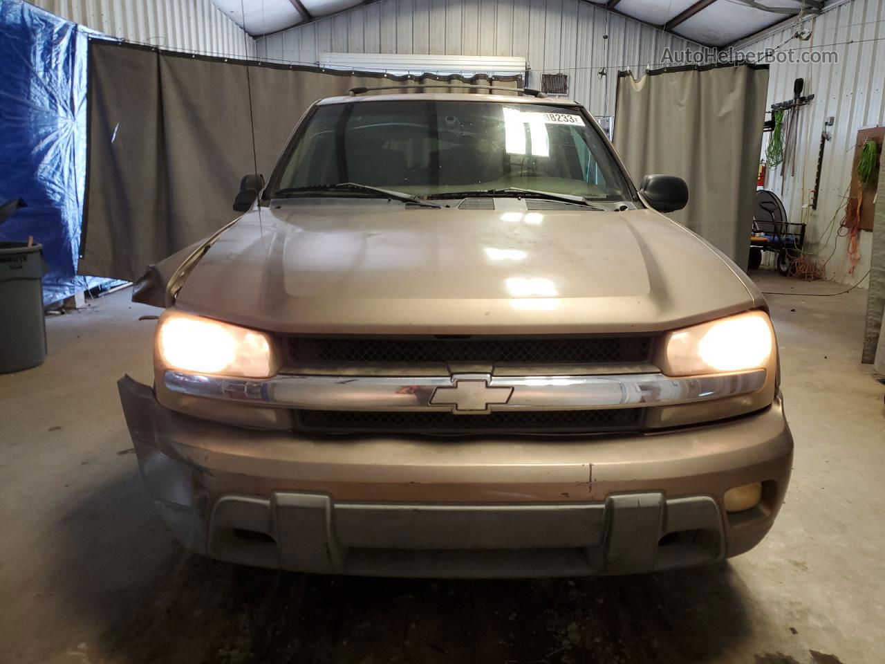 2002 Chevrolet Trailblazer  Tan vin: 1GNDS13S722493589