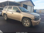 2002 Chevrolet Trailblazer Ls Brown vin: 1GNDS13S722521665