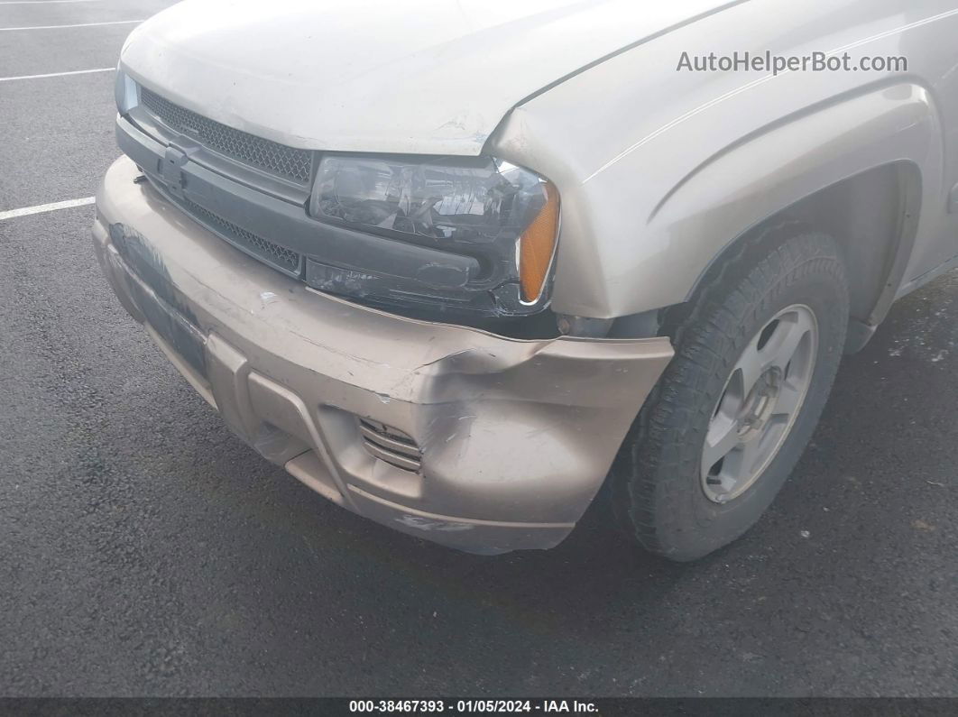 2002 Chevrolet Trailblazer Ls Brown vin: 1GNDS13S722521665