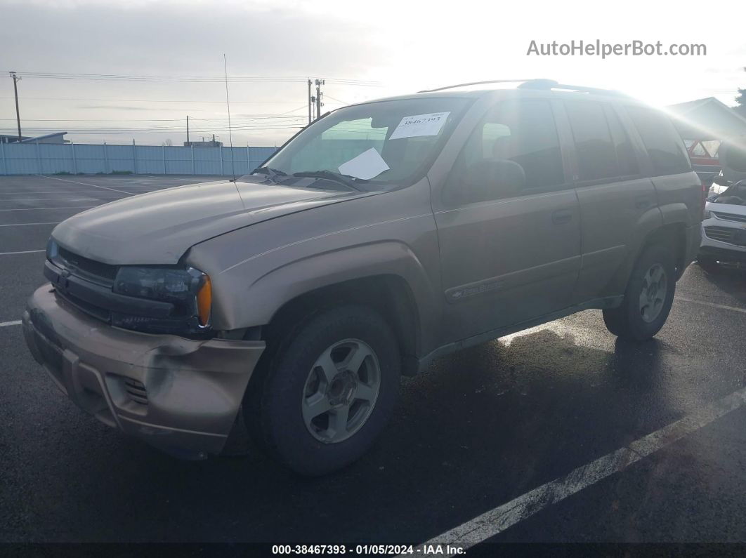 2002 Chevrolet Trailblazer Ls Brown vin: 1GNDS13S722521665