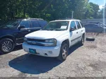 2006 Chevrolet Trailblazer Ls White vin: 1GNDS13S762116900