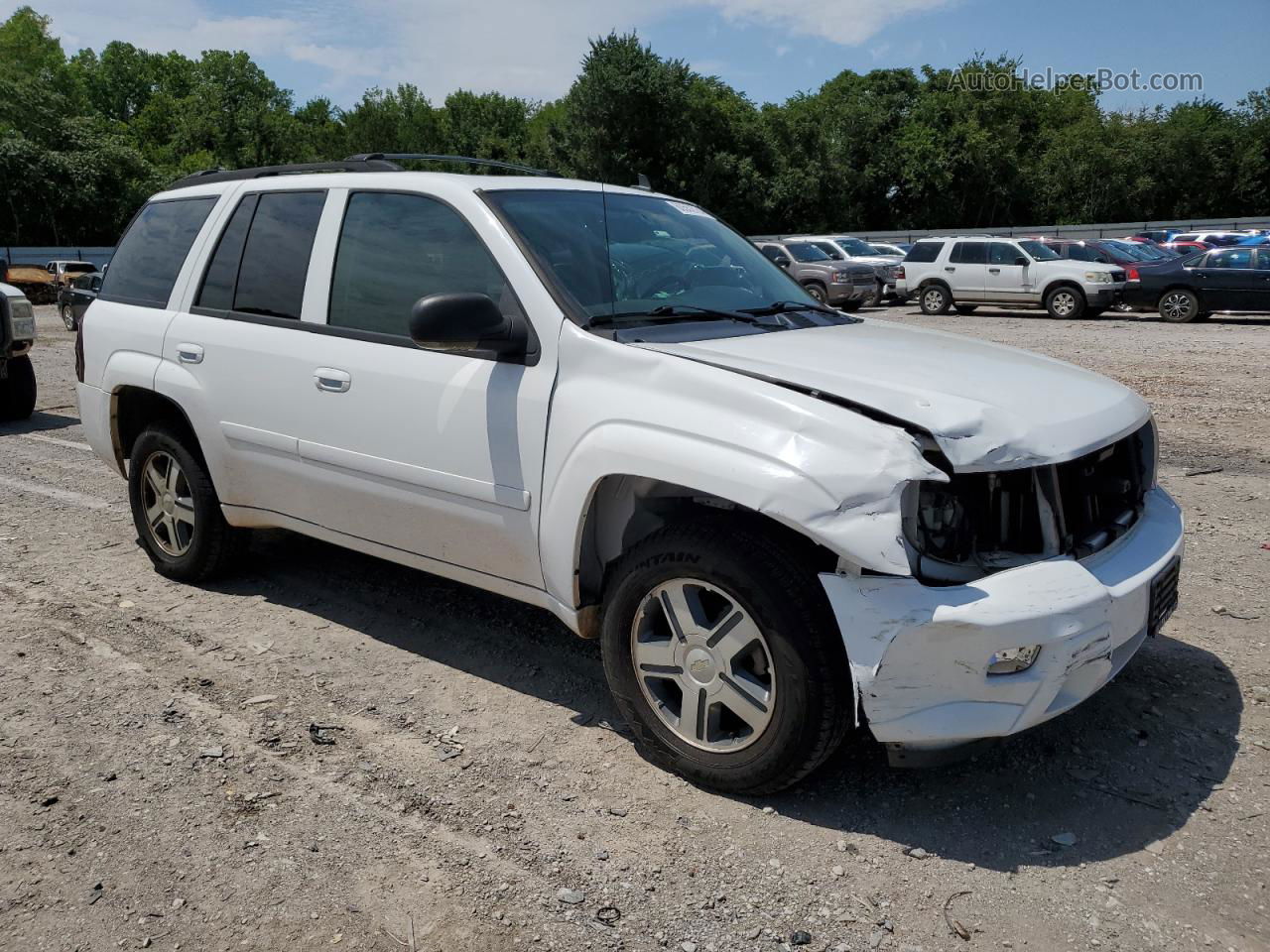 2006 Chevrolet Trailblazer Ls White vin: 1GNDS13S762156815