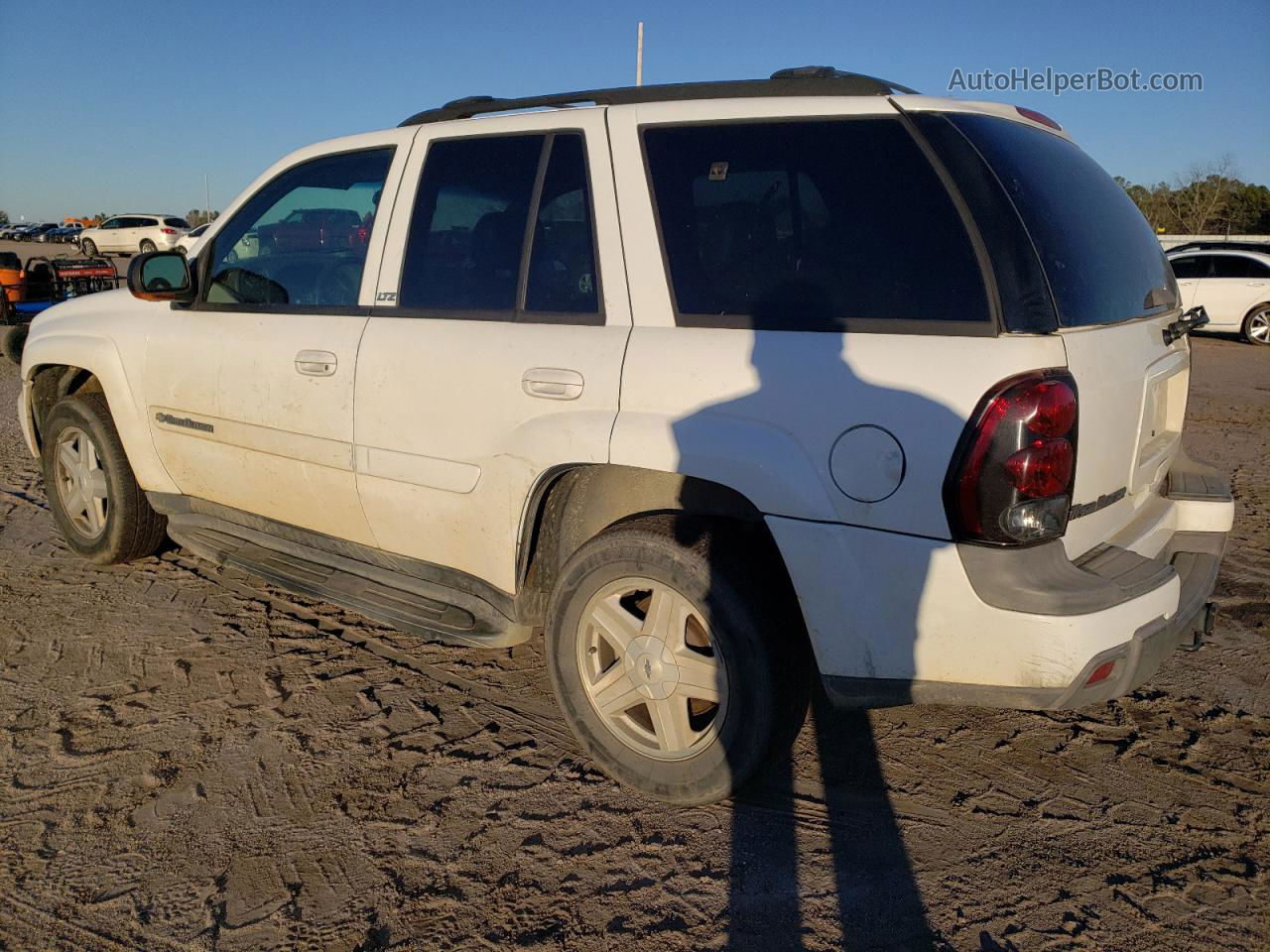 2002 Chevrolet Trailblazer  White vin: 1GNDS13S822139337