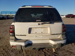 2002 Chevrolet Trailblazer  White vin: 1GNDS13S822139337