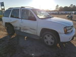 2002 Chevrolet Trailblazer  White vin: 1GNDS13S822139337