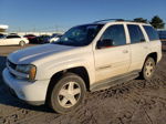 2002 Chevrolet Trailblazer  White vin: 1GNDS13S822139337