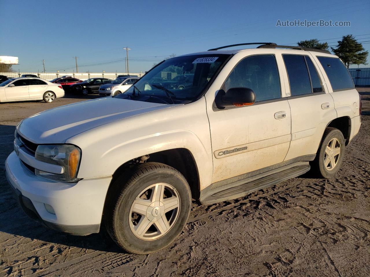 2002 Chevrolet Trailblazer  Белый vin: 1GNDS13S822139337