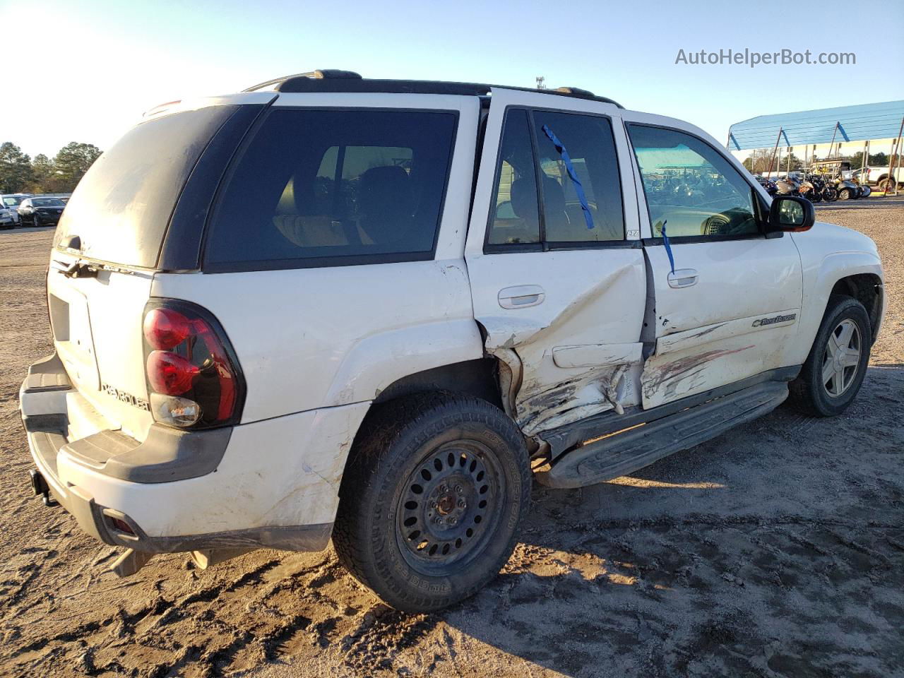 2002 Chevrolet Trailblazer  White vin: 1GNDS13S822139337