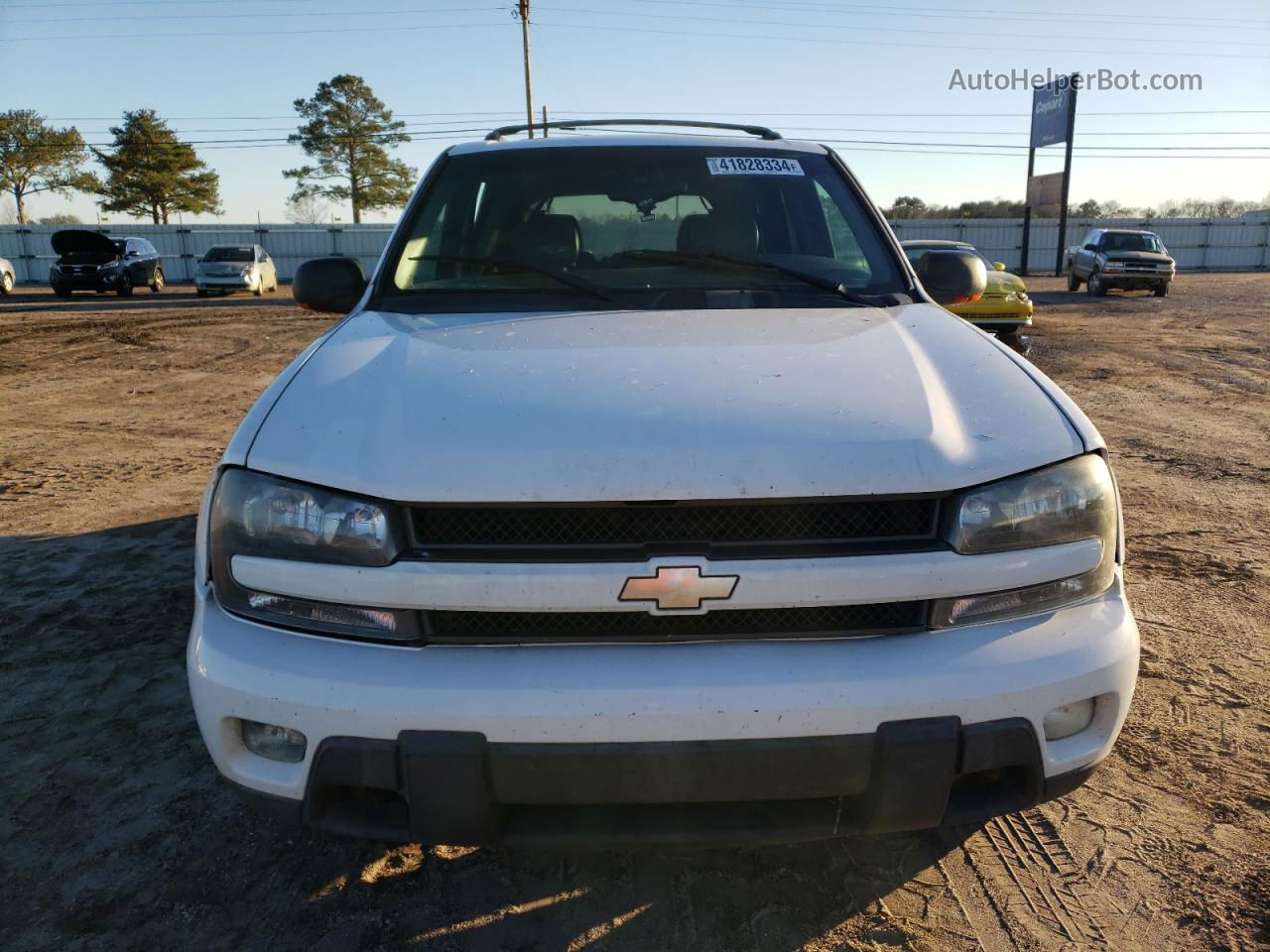 2002 Chevrolet Trailblazer  White vin: 1GNDS13S822139337