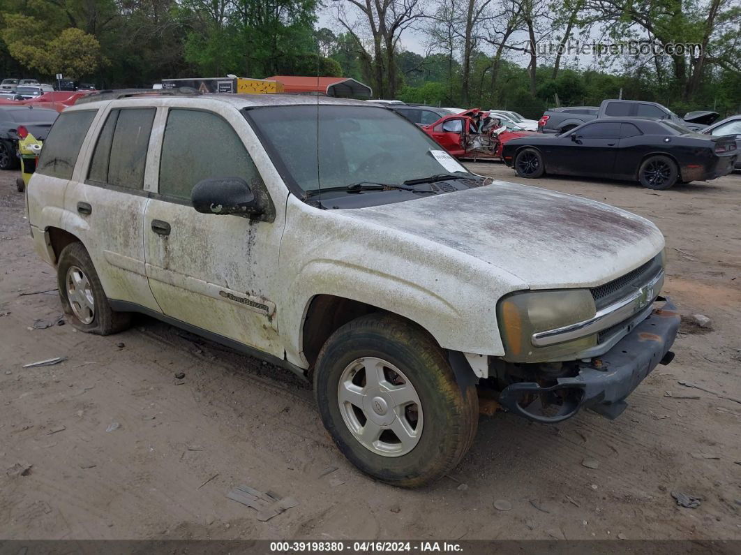 2002 Chevrolet Trailblazer Ls White vin: 1GNDS13S822259414