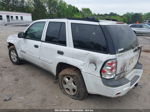 2002 Chevrolet Trailblazer Ls White vin: 1GNDS13S822259414