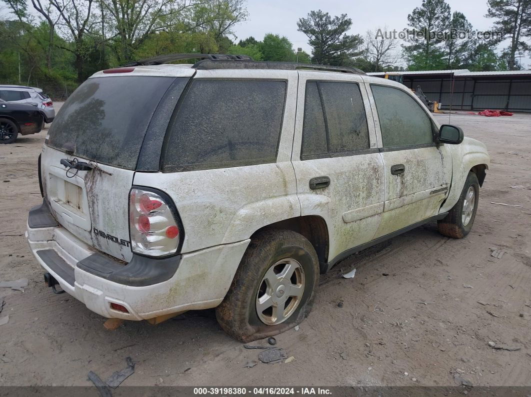 2002 Chevrolet Trailblazer Ls White vin: 1GNDS13S822259414