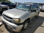 2002 Chevrolet Trailblazer  Beige vin: 1GNDS13S822267092