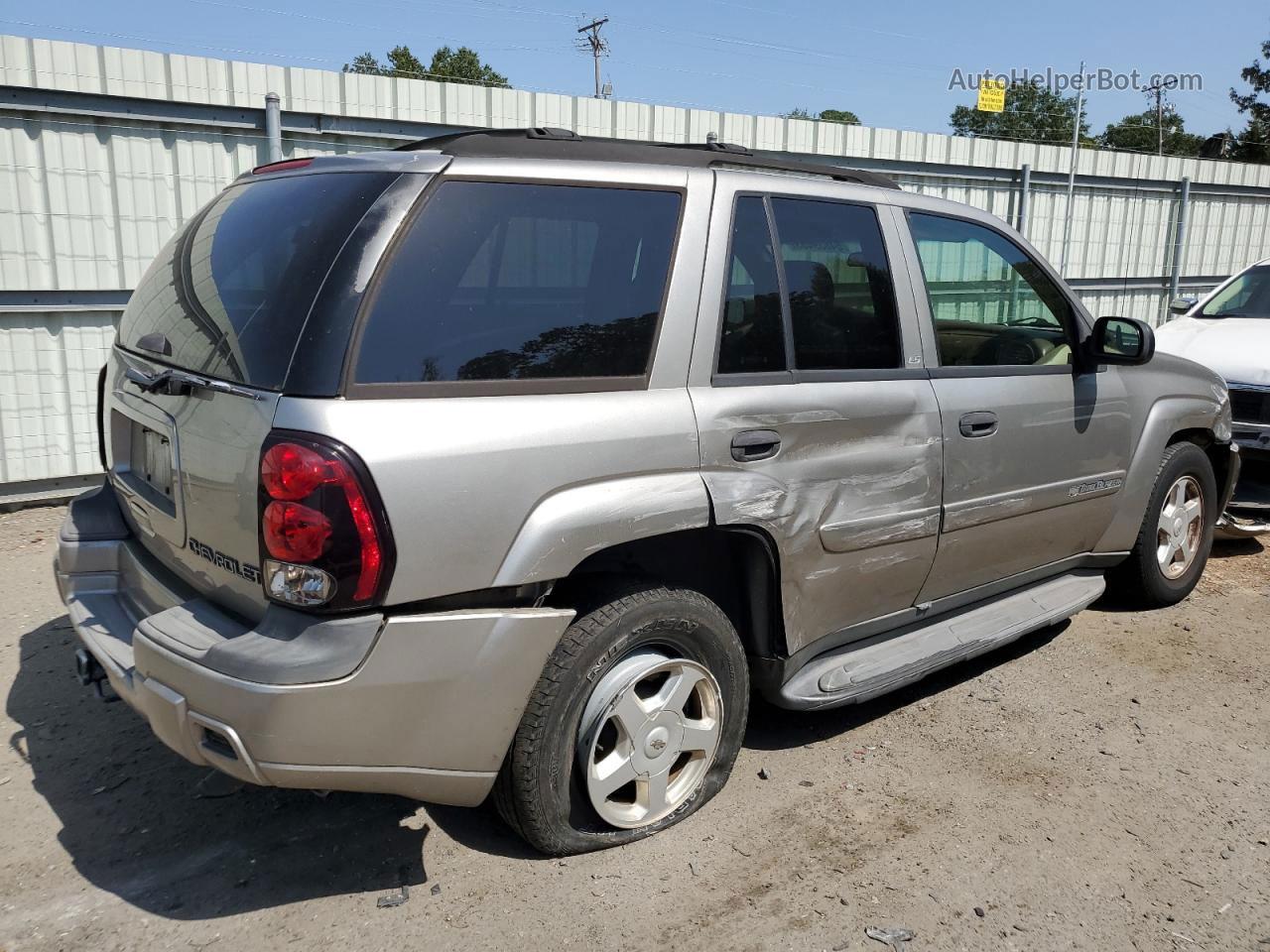 2002 Chevrolet Trailblazer  Beige vin: 1GNDS13S822267092