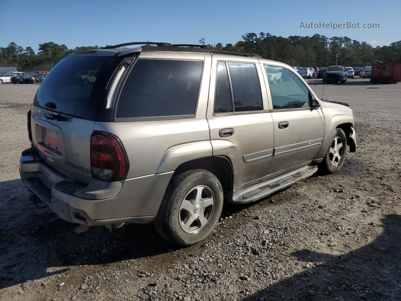 2002 Chevrolet Trailblazer  Серебряный vin: 1GNDS13S822403589