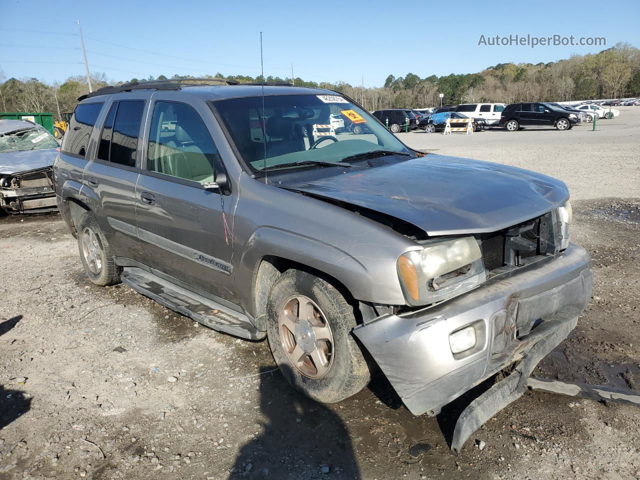 2002 Chevrolet Trailblazer  Серебряный vin: 1GNDS13S822403589