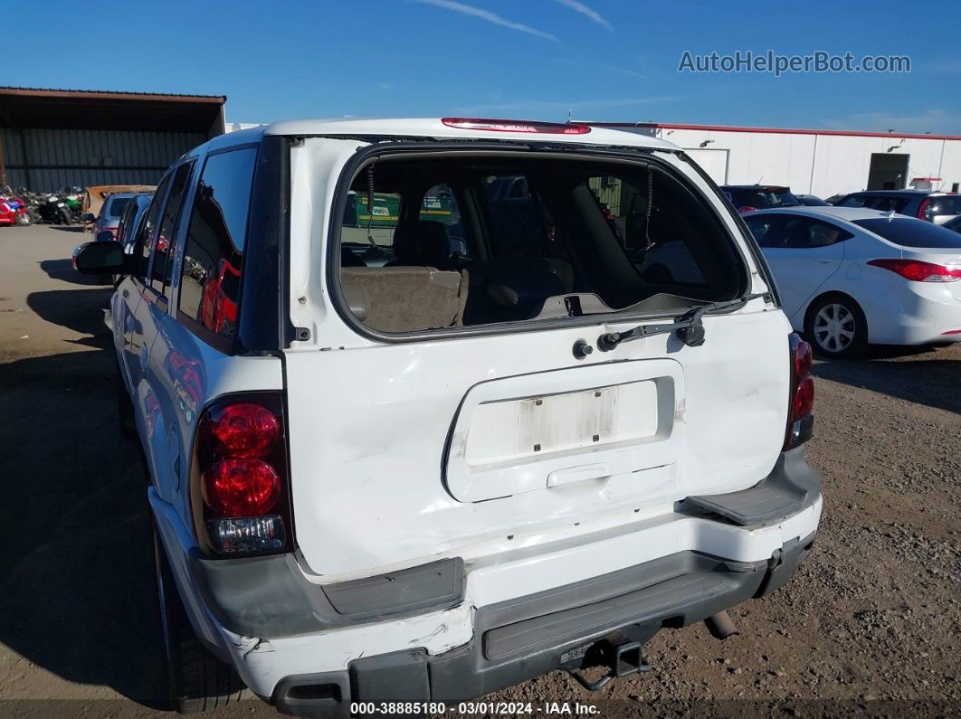 2002 Chevrolet Trailblazer Ltz Белый vin: 1GNDS13S822434311