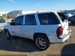 2002 Chevrolet Trailblazer Ltz Белый vin: 1GNDS13S822434311