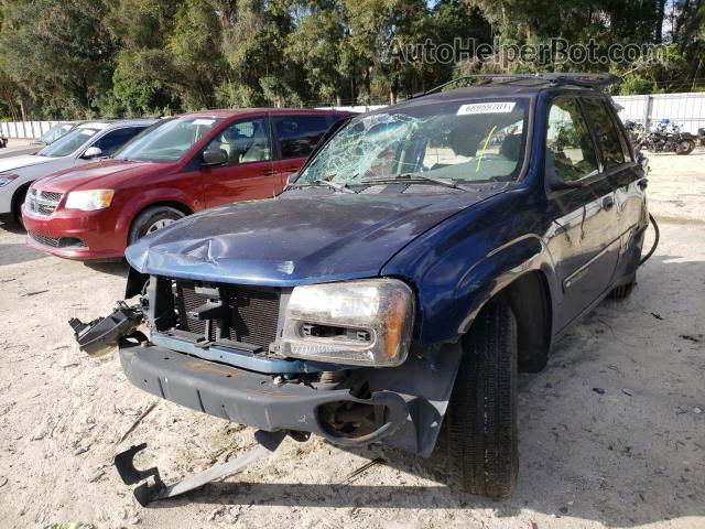 2002 Chevrolet Trailblazer  Синий vin: 1GNDS13S822452596