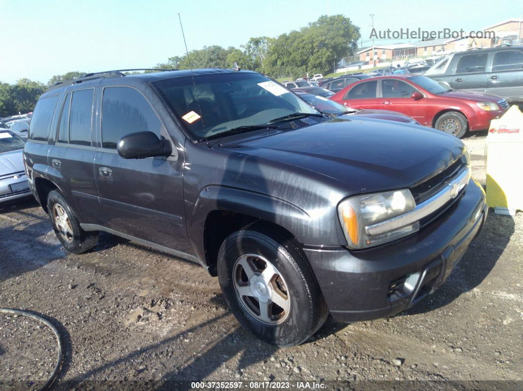 2006 Chevrolet Trailblazer Ls Черный vin: 1GNDS13S862116680