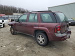 2006 Chevrolet Trailblazer Ls Burgundy vin: 1GNDS13S862188947