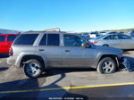 2006 Chevrolet Trailblazer Ls Gray vin: 1GNDS13S862254512